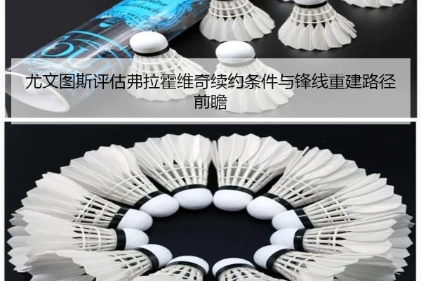 尤文图斯评估弗拉霍维奇续约条件与锋线重建路径前瞻